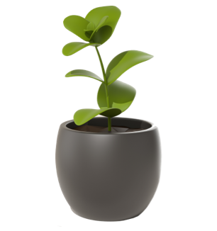Plantas