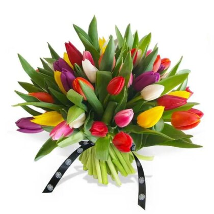 Tulipanes