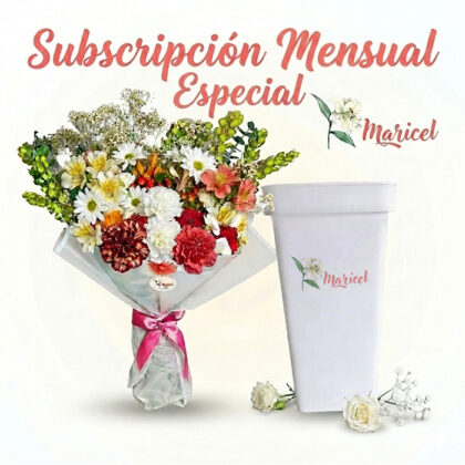 Subscripción Mensual Especial