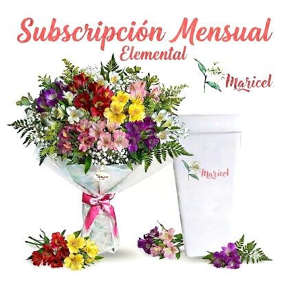 Subscripción Mensual Elemental