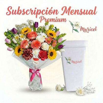 Subscripción Mensual Premium