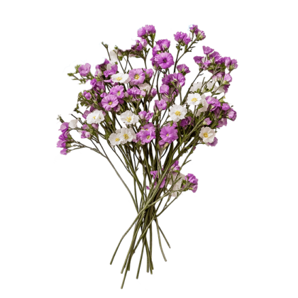 Flores secas