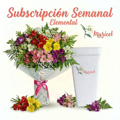 Subscripción Semanal Elemental